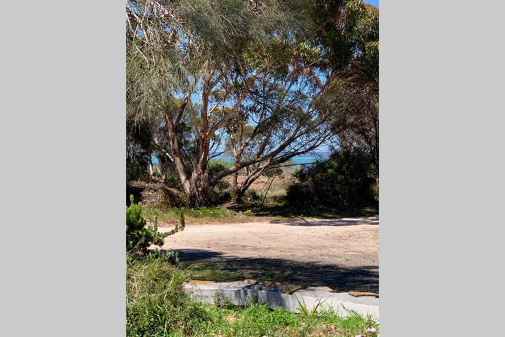 Leeward 'Tranquil Beachfront' คิงส์โคท ภายนอก รูปภาพ